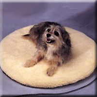 LARGE HEATED PET BED