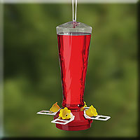 HUMMINGBIRD FEEDER 16 OZ