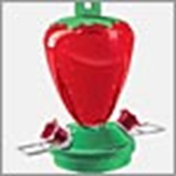 STRAWBERRY HUMMINGBIRD FEEDER 12 OZ