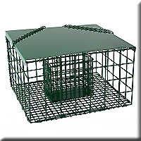 SQUIRREL PROOF SUET FEEDER