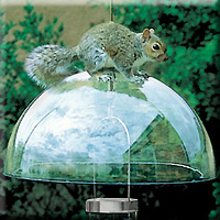 SQUIRREL GUARD DOME GREEN