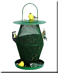 GREEN LANTERN FEEDER