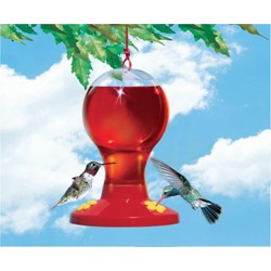 PLASTIC FEEDER WITH NECTAR