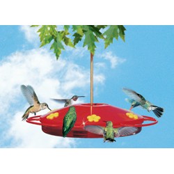 OASIS HUMMINGBIRD FEEDER 16 OZ