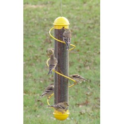 YELLOW SPIRAL FINCH TUBE 17IN