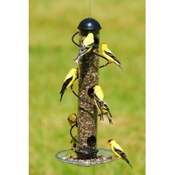 ELEGANT SPIRAL SEED FEEDER BLK 17IN