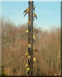 COPPER SPIRAL THISTLE FEEDER 36IN