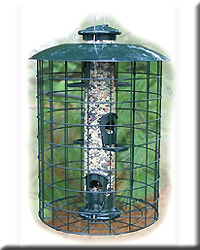 CAGED 6 PORT SEED TUBE FEEDER